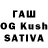 Галлюциногенные грибы GOLDEN TEACHER blooodx_
