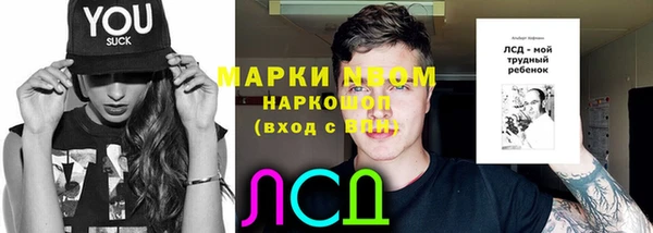 ПСИЛОЦИБИНОВЫЕ ГРИБЫ Лихославль