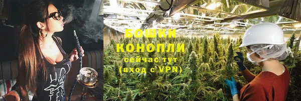 бошки Переславль-Залесский
